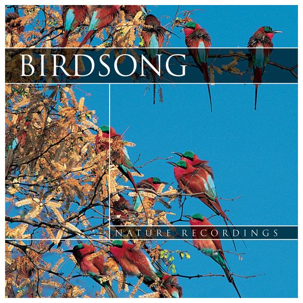 [Image: cd-birdsong-23621100.jpg]