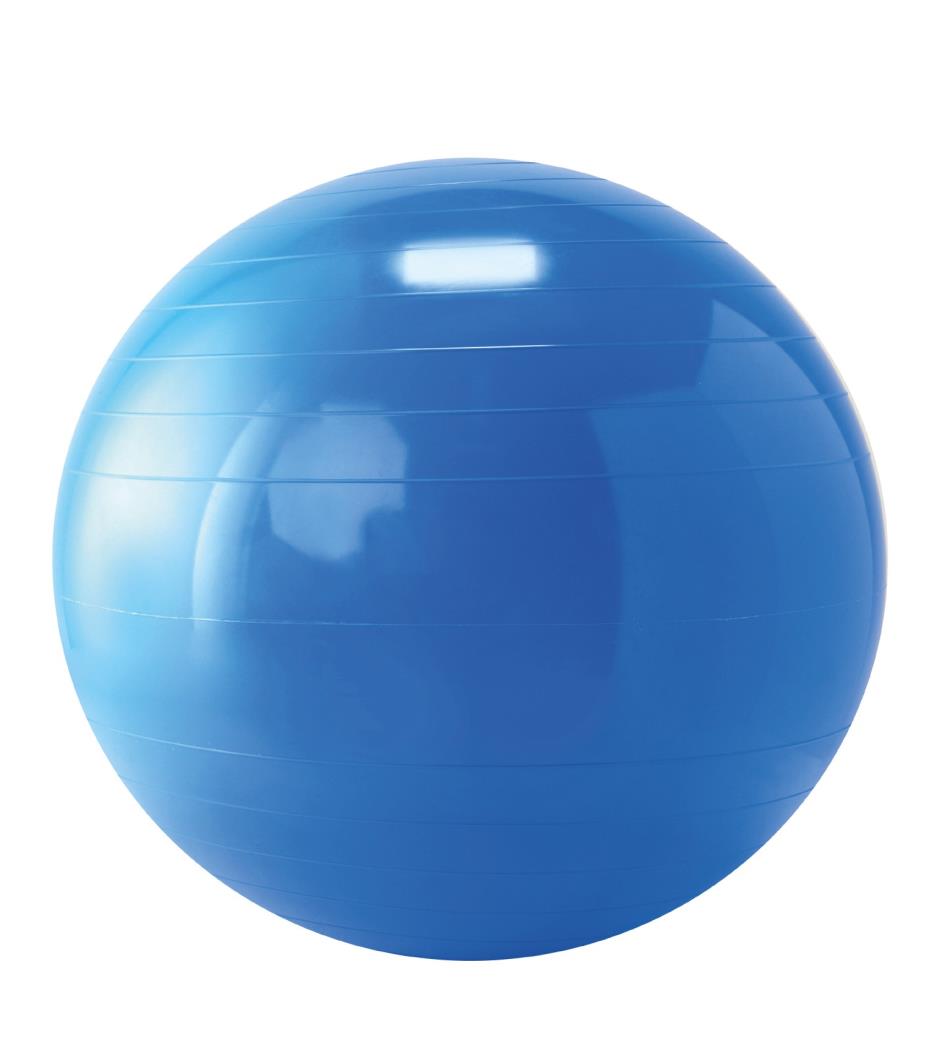 Toymarketing International Gymnic Physio Roll 12x20 Blue