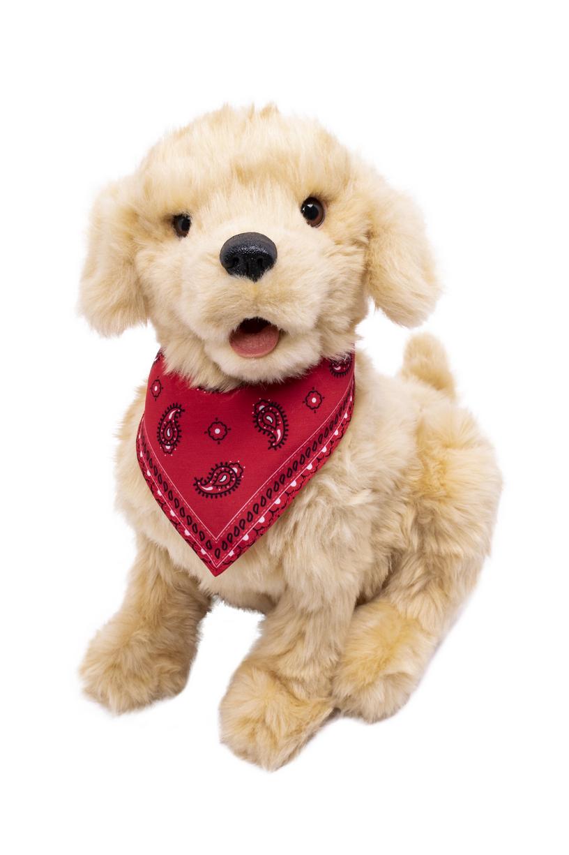  JOY FOR ALL Ageless Innovation Companion Pets Golden Pup  Lifelike & Realistic : Hasbro: Everything Else