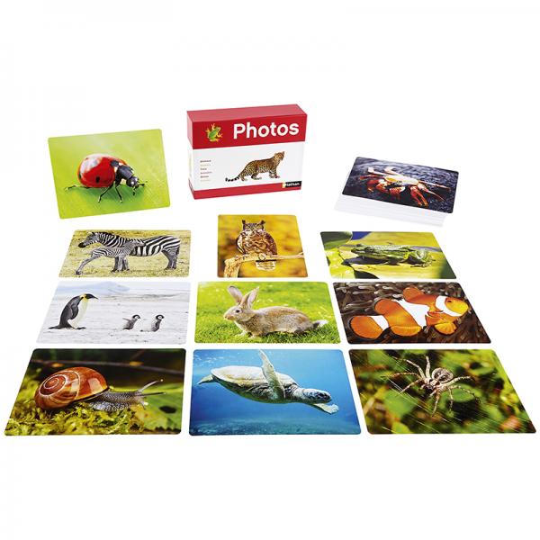 Photo Box - Animals