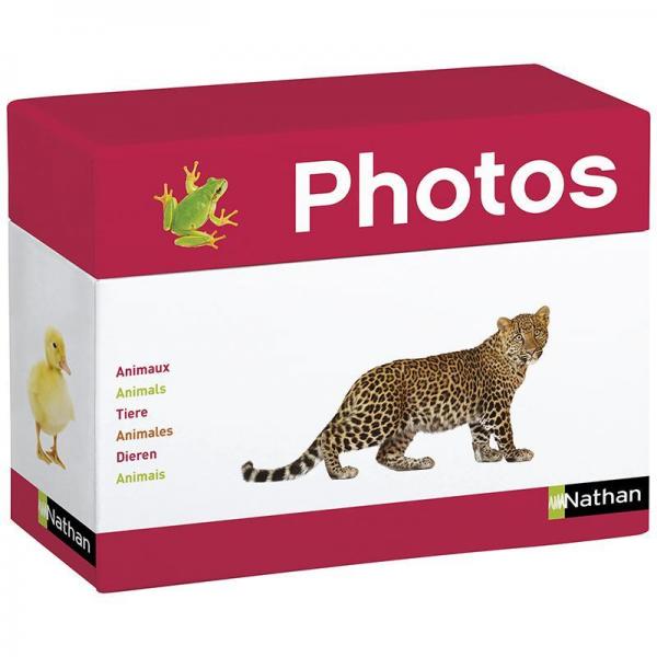 Photo Box - Animals