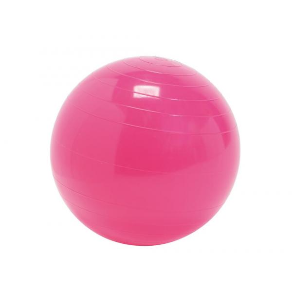 Gymnic - Therapy Ball 30 cm Pink