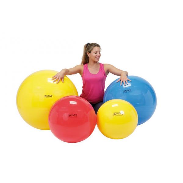 Gymnic - Therapy Ball 55 cm Red