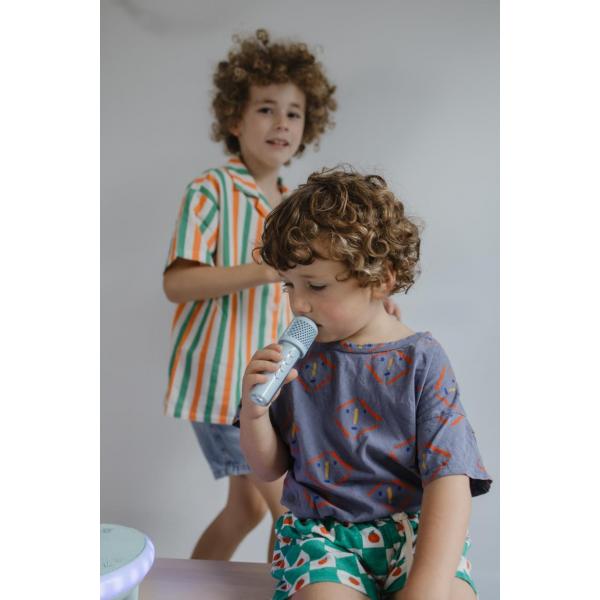 Kidykaraoke - karaoke speaker and microphones