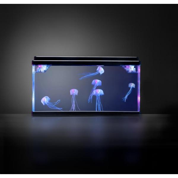 Jelly Fish Tank Large