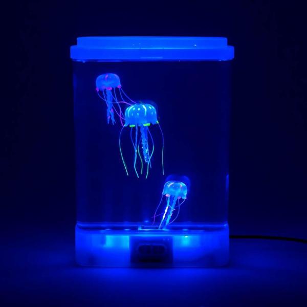 Jelly Fish Tank Half round