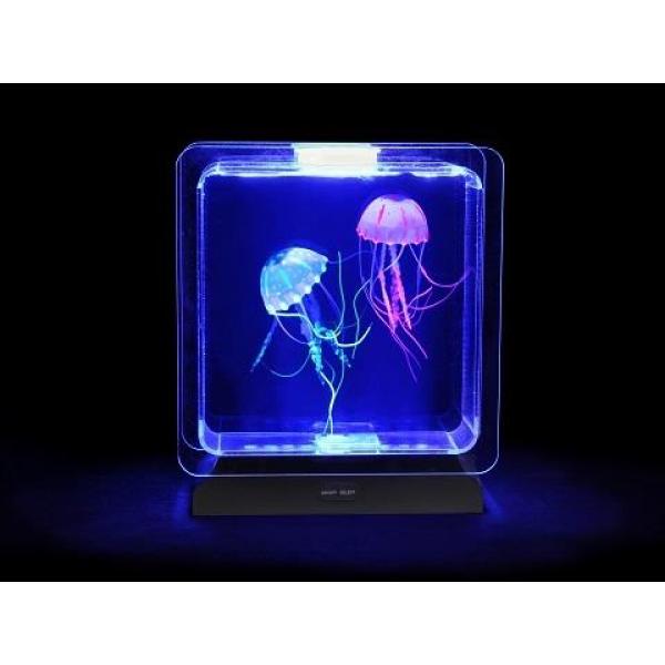 Jelly Fish Tank - Square