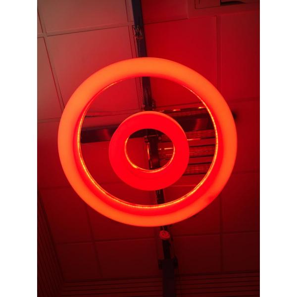 LED Colour Changing Ceiling Ring Medium