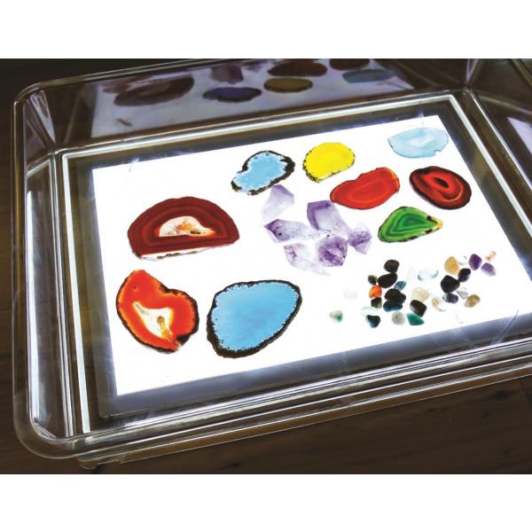 LED light panel + exploration tray