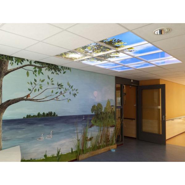 LED Ceiling panel 120 x 120 cm