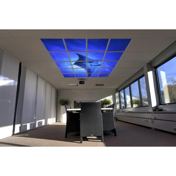 LED Ceiling Panels 60 x 60 cm - set of 4
