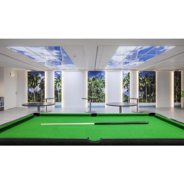 LED Ceiling Panels 60x60 cm - set of 2