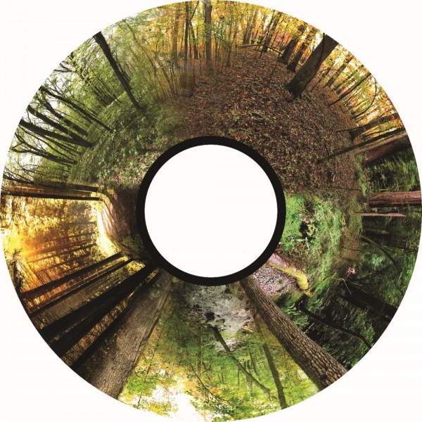 Magnetic Effect Wheel - Seasoned Woods