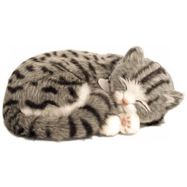 Perfect Petzzz soft Gray Tabby