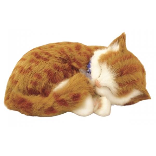 Perfect Petzzz soft Orange Tabby