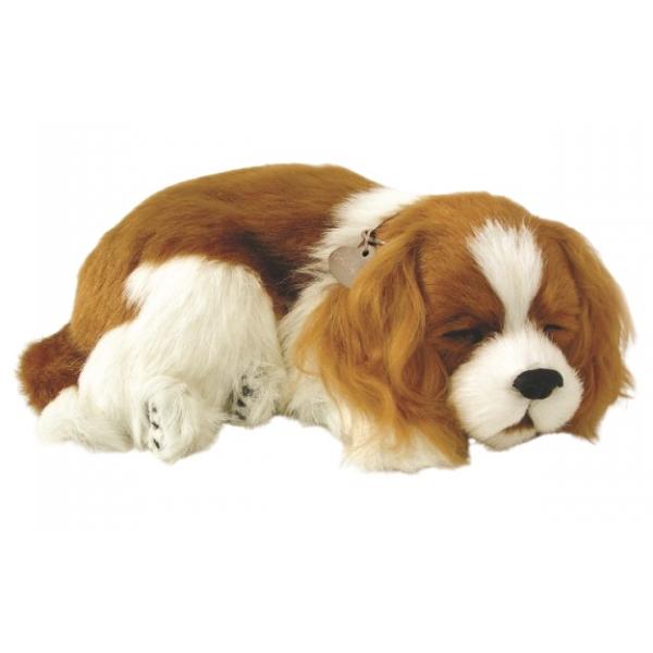 Perfect Petzzz soft Cavalier King Charles