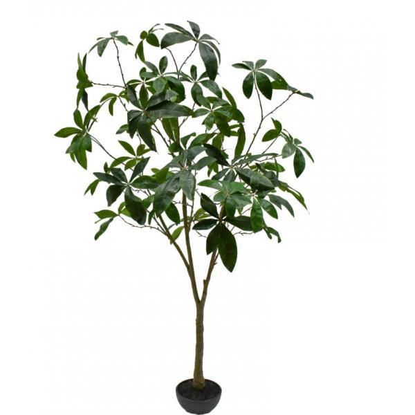 Silk-ka Artificial Pachira Plant - 205 cm