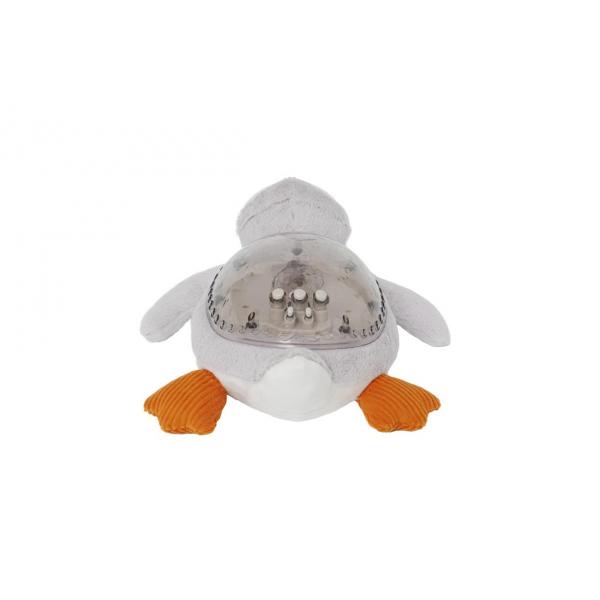 Tranquil penguin