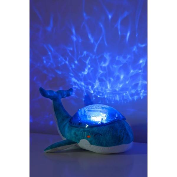 Tranquil Whale™ Family - Blue