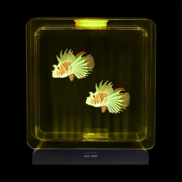 Fish Tank Square – 2 Tropical Fish