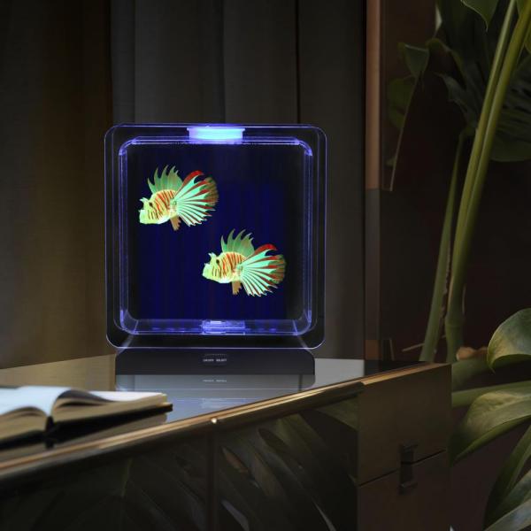 Fish Tank Square – 2 Tropical Fish