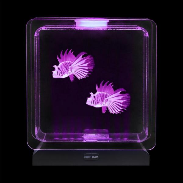 Fish Tank Square – 2 Tropical Fish