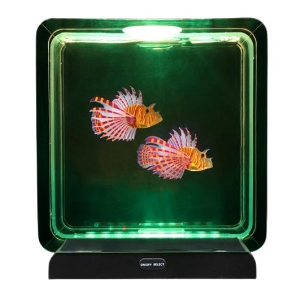 Fish Tank Square – 2 Tropical Fish