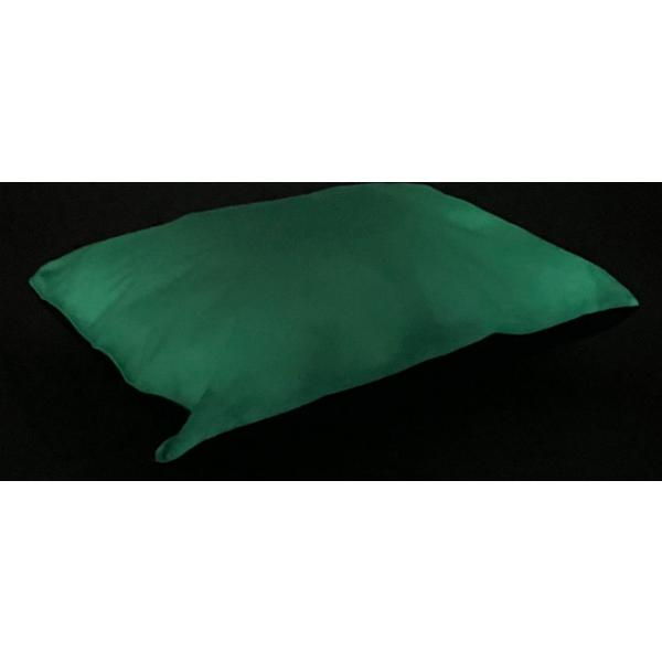 Glo Cushion Single Rectangle Large