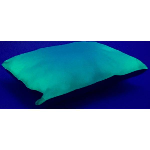 Glo Cushion Single Rectangle Large