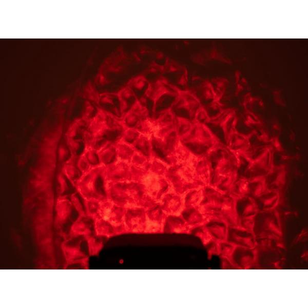 Water Effects Projector