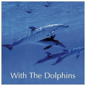 CD The Way of the Dolphin