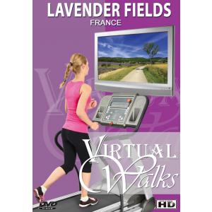 DVD Seasons - Lavendel fields