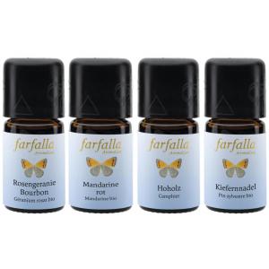 Aroma Set of 4 essential Oils