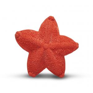 Lanco - Sensory Chewy Fidget - Starfish