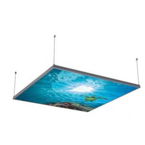 LED panel for suspension 120x120 cm (incl. chains) with images UNDERWATER