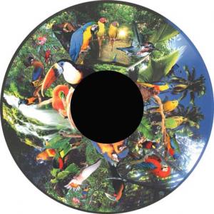 Magnetic Effect Wheel - Tropical Birds