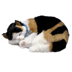 Perfect Petzzz - Calico Kitten