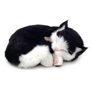 Precious Pet - Kitten black-white