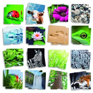 Memory Tactile Nature