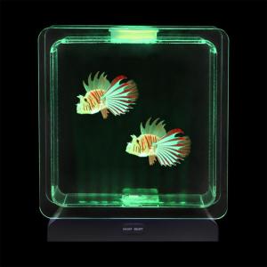 Fish Tank Square – 2 Tropical Fish