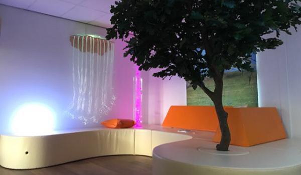 Park sensory room